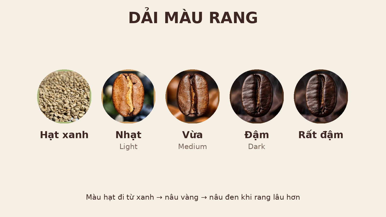 Dải màu rang từ hạt xanh đến rất đậm