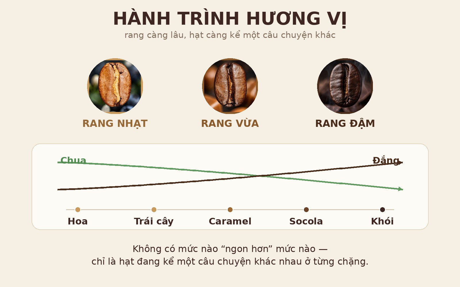 Hành trình hương vị: chua giảm, đắng tăng theo thời gian rang